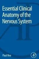 Paul Rea - Essential Clinical Anatomy of the Nervous System, Häftad. Tillgänglighet: Lägg i varukorg