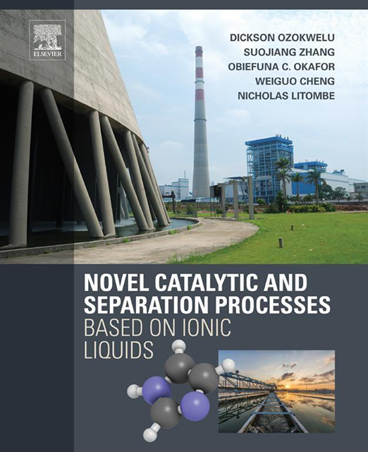 Nicholas Litombe, Weiguo Cheng, Obiefuna Okafor, Suojiang Zhang, Dickson Ozokwelu - Novel Catalytic and Separation Processes Based on Ionic Liquids, E-bok