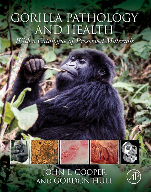 Gordon Hull, John E Cooper - Gorilla Pathology and Health, E-bok
