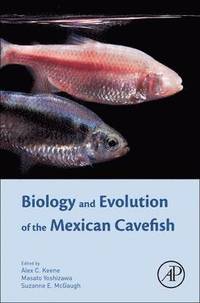 Biology and Evolution of the Mexican Cavefish