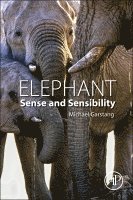 Elephant Sense and Sensibility