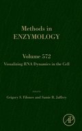 Visualizing RNA Dynamics in the Cell