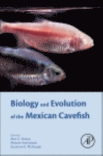 Suzanne Elaine McGaugh, Masato Yoshizawa, Alex Keene - Biology and Evolution of the Mexican Cavefish, E-bok