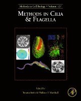 Renata Basto, Wallace F. Marshall - Methods in Cilia and Flagella, Inbunden