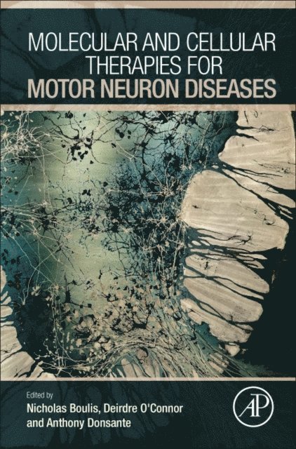 Anthony Donsante, Deirdre O'Connor, Nicholas M Boulis - Molecular and Cellular Therapies for Motor Neuron Diseases, E-bok. Tillgänglighet: Lägg i varukorg