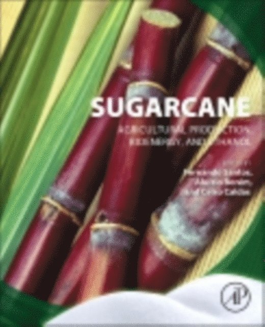 Celso Caldas, Aluizio Borem, Fernando Santos - Sugarcane, E-bok. Tillgänglighet: Lägg i varukorg