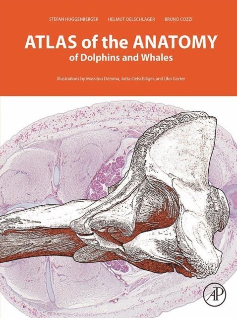 Bruno Cozzi, Helmut A Oelschlager, Stefan Huggenberger - Atlas of the Anatomy of Dolphins and Whales, E-bok. Tillgänglighet: Lägg i varukorg