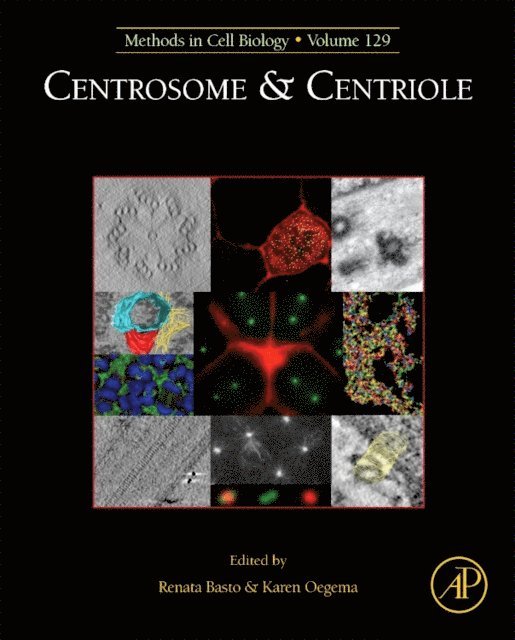 Centrosome and Centriole