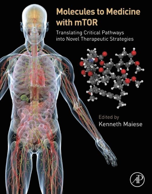 Kenneth Maiese - Molecules to Medicine with mTOR, E-bok