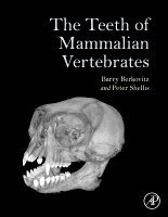 Barry Berkovitz, Peter Shellis - The Teeth of Mammalian Vertebrates, Inbunden