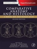 Comparative Anatomy and Histology
