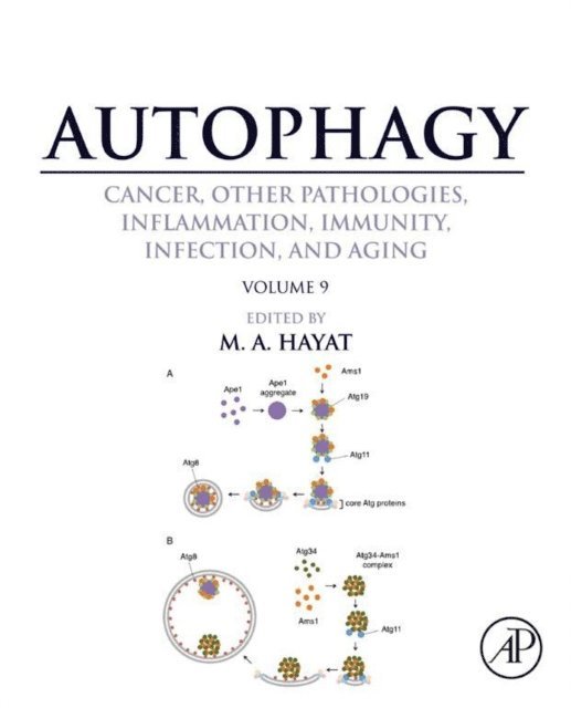 M. A. Hayat - Autophagy: Cancer, Other Pathologies, Inflammation, Immunity, Infection, and Aging, E-bok