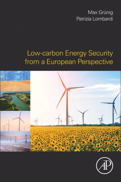Max Gruenig, Patrizia Lombardi - Low-carbon Energy Security from a European Perspective, E-bok