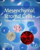 Marcela Bolontrade, Mariana Garc�a - Mesenchymal Stromal Cells as Tumor Stromal Modulators, Häftad