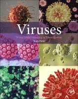 Susan Payne - Viruses, Häftad