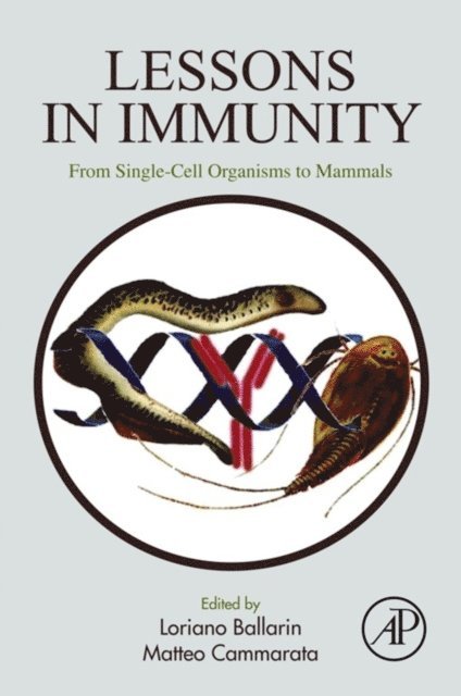 Matteo Cammarata, Loriano Ballarin - Lessons in Immunity, E-bok