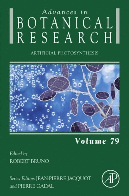 Artificial Photosynthesis, E-bok