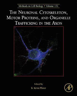 The Neuronal Cytoskeleton, Motor Proteins, and Organelle Trafficking in the Axon