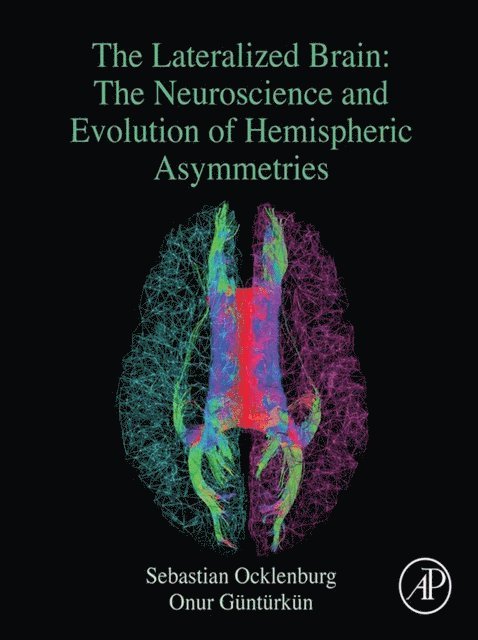 Onur Gunturkun, Sebastian Ocklenburg - Lateralized Brain, E-bok
