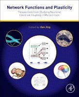 Network Functions and Plasticity