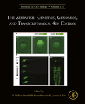 Zebrafish: Genetics, Genomics, and Transcriptomics