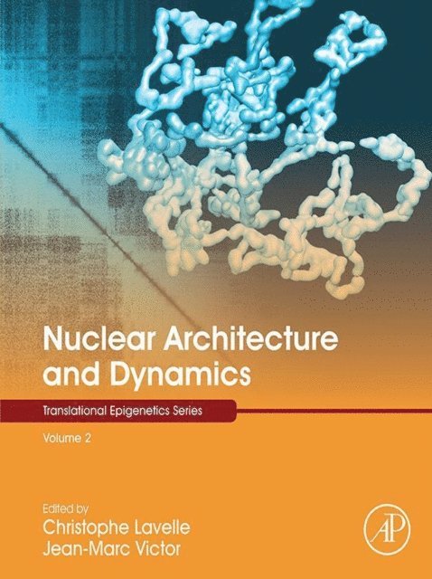 Jean-Marc Victor, Christophe Lavelle - Nuclear Architecture and Dynamics, E-bok