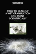 How to Scale-Up a Wet Granulation End Point Scientifically