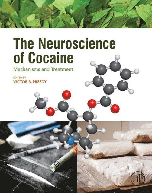 Neuroscience of Cocaine