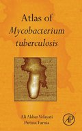 Atlas of Mycobacterium Tuberculosis