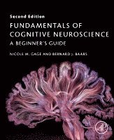 Nicole M. Gage, Bernard Baars - Fundamentals of Cognitive Neuroscience, Häftad