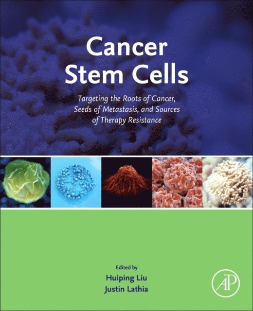 Justin Durla Lathia, Huiping Liu - Cancer Stem Cells, E-bok