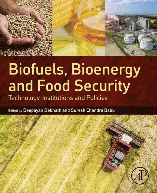 Suresh Chandra Babu, Deepayan Debnath - Biofuels, Bioenergy and Food Security, E-bok
