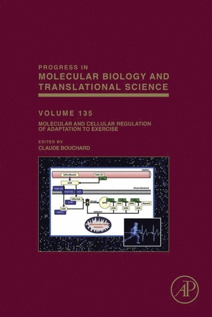 Claude Bouchard - Molecular and Cellular Regulation of Adaptation to Exercise, E-bok