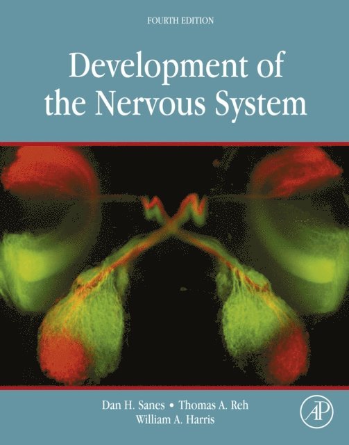 Matthias Landgraf, William A. Harris, Thomas A. Reh, Dan H. Sanes - Development of the Nervous System, E-bok