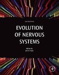 Evolution of Nervous Systems