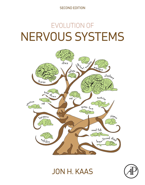 Leah A. Krubitzer, John Rubenstein, Todd M. Preuss, Theodore H. Bullock, Georg F. Striedter - Evolution of Nervous Systems, E-bok