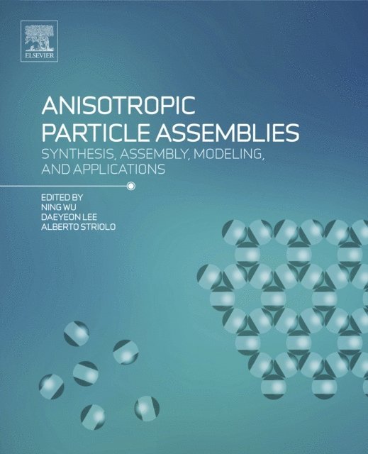 Alberto Striolo, Daeyeon Lee, Ning Wu - Anisotropic Particle Assemblies, E-bok