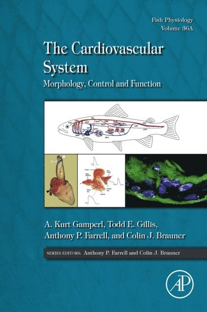 Colin Brauner, Anthony P. Farrell, Todd E. Gillis, A. Kurt Gamperl - Cardiovascular System, E-bok