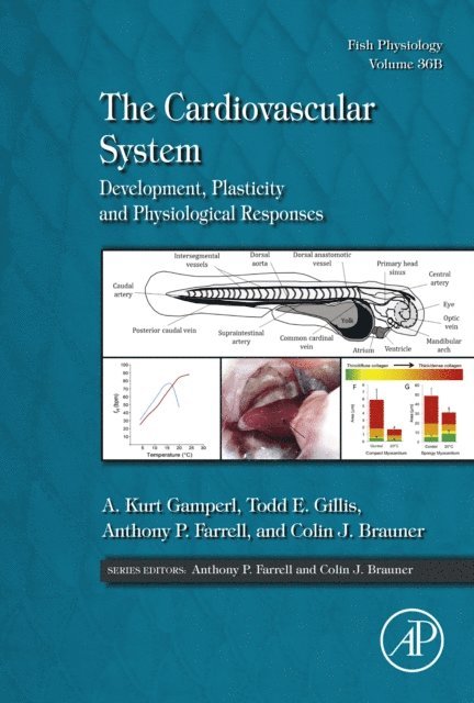 Colin Brauner, Anthony P. Farrell, Todd E. Gillis, A. Kurt Gamperl - Cardiovascular System, E-bok