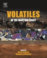 Volatiles in the Martian Crust