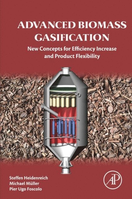Pier Ugo Foscolo, Michael Muller, Steffen Heidenreich - Advanced Biomass Gasification, E-bok