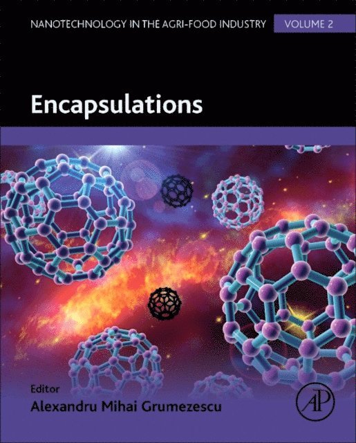 Alexandru Grumezescu - Encapsulations, E-bok