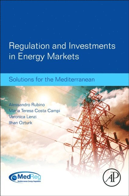 Maria Teresa Costa Campi, Veronica Lenzi, Ilhan Ozturk, Alessandro Rubino - Regulation and Investments in Energy Markets, E-bok
