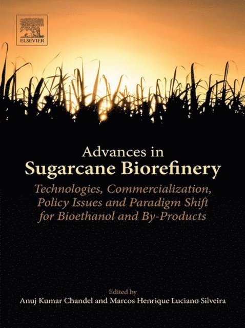 Marcos Henrique Luciano Silveira, Anuj K. Chandel - Advances in Sugarcane Biorefinery, E-bok