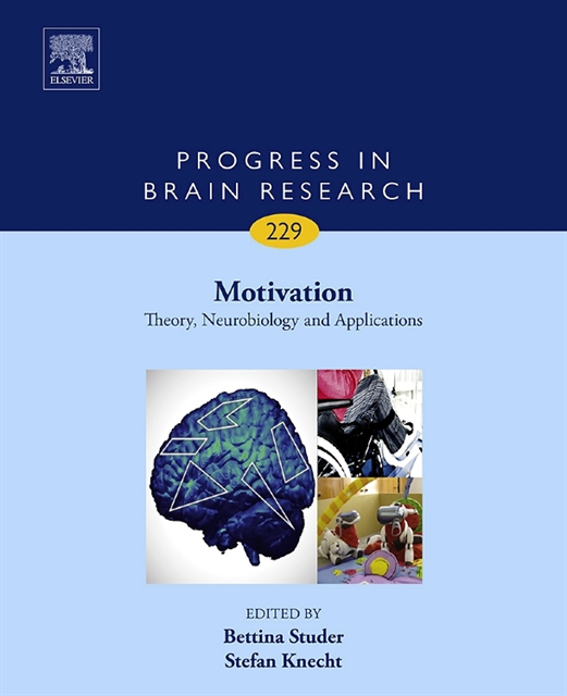 Motivation, E-bok