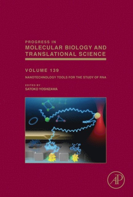 Nanotechnology Tools for the Study of RNA