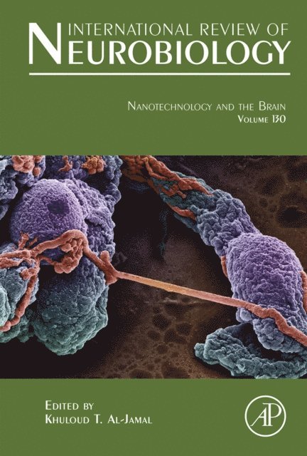 Nanotechnology and the Brain