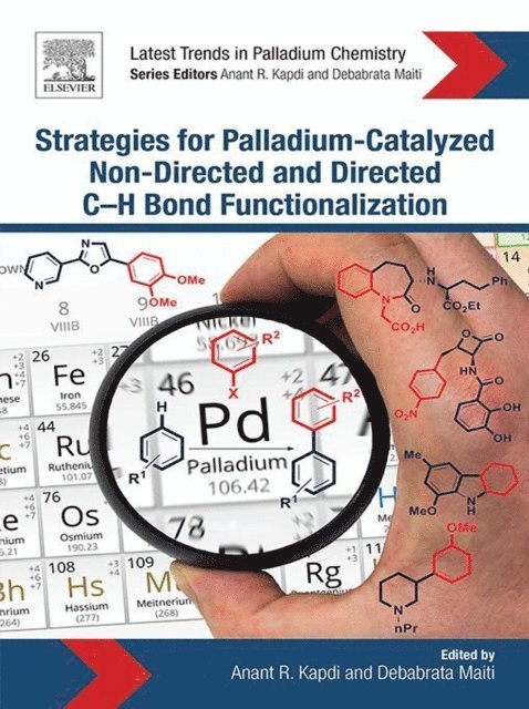 Debabrata Maiti, Anant R. Kapdi - Strategies for Palladium-Catalyzed Non-directed and Directed C bond H Bond Functionalization, E-bok