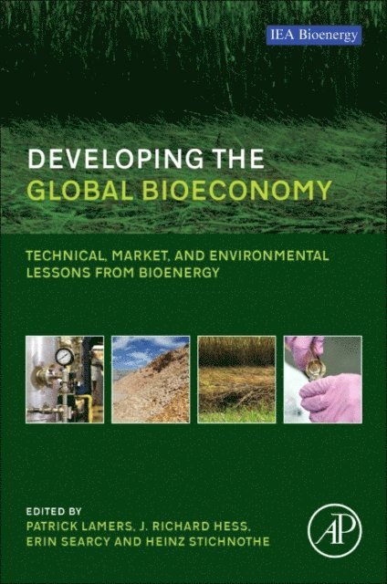 Heinz Stichnothe, J. Richard Hess, Erin Searcy, Patrick Lamers - Developing the Global Bioeconomy, E-bok