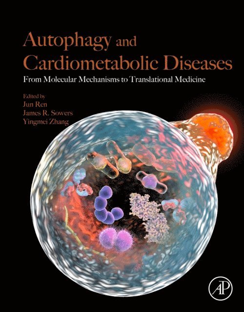 Yingmei Zhang, James R. Sowers, Jun Ren - Autophagy and Cardiometabolic Diseases, E-bok